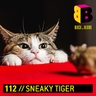 Bouncing Pets album cover