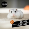 Sneaky Grandeur album cover